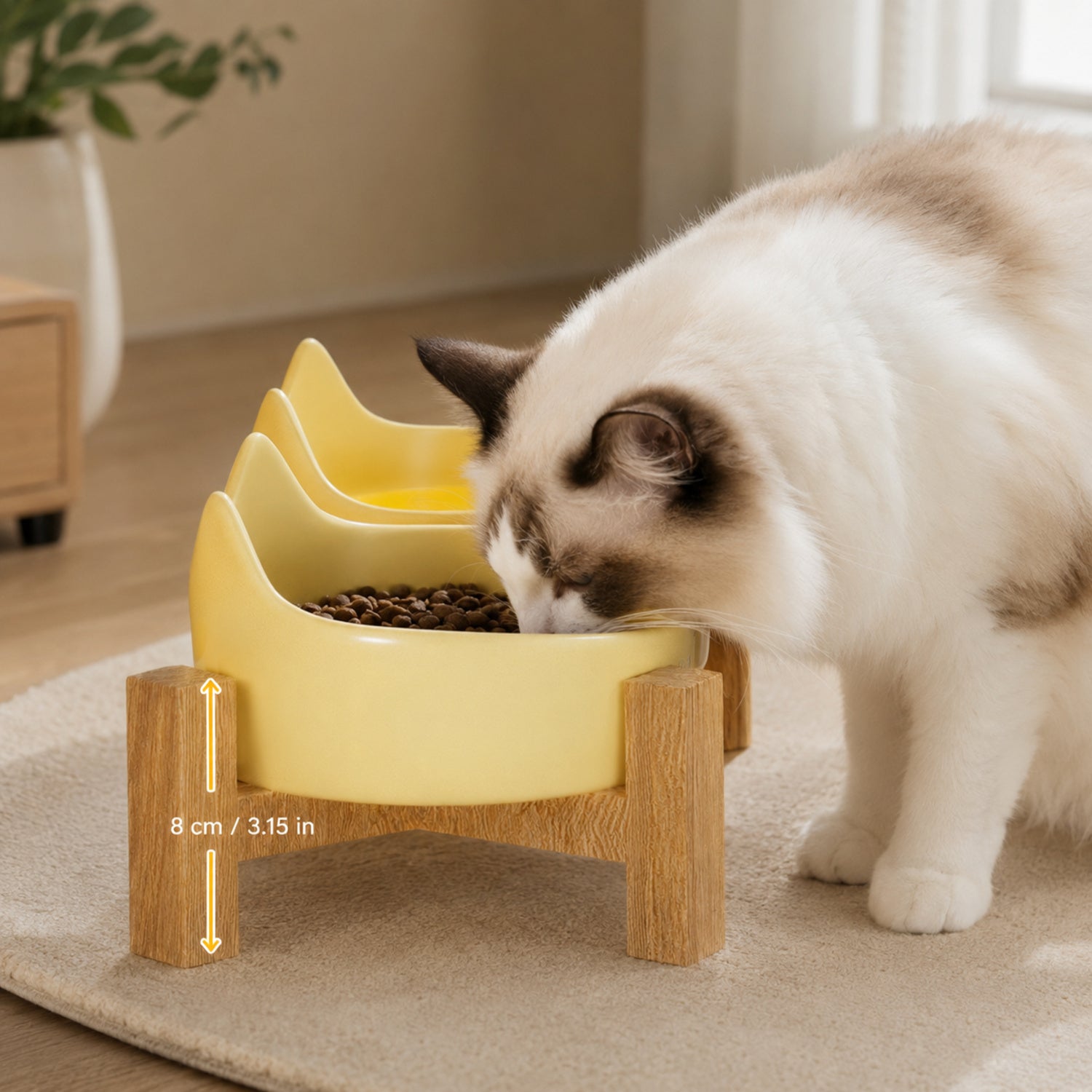 Kitty Comfort Elevated Ceramic Cat Bowl Set of 2 | Easy-Clean Raised Feeder