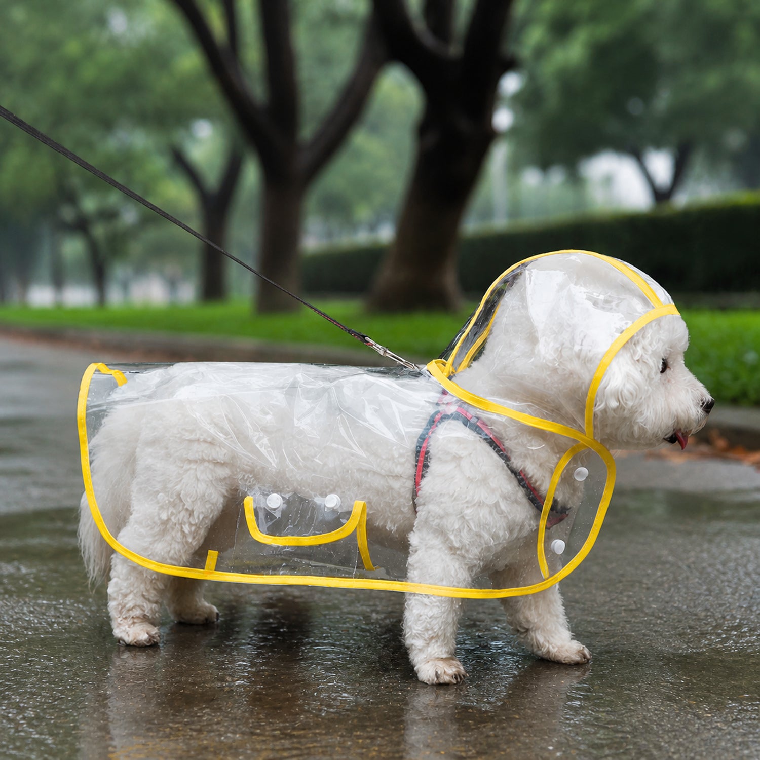 Transparent Dog Raincoat | Waterproof EVA | Clear Hood & Adjustable Press-Stud Fit